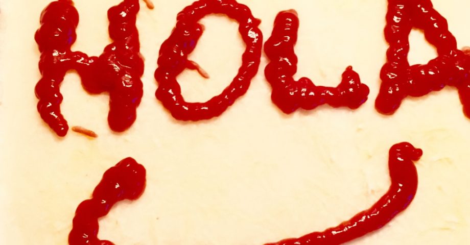 Lasaña boloñesa en la que hemos escrito la palabra hola con ketchup antes de meterla en el horno